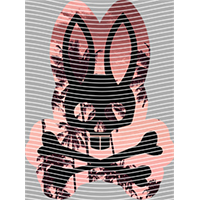 Brand Catalog-ZX 550